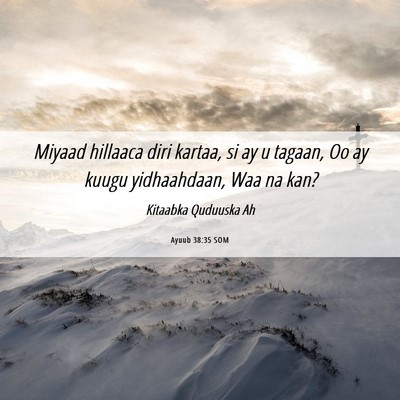 Picture 06 - Ayuub 38:35 SOM - Miyaad hillaaca diri kartaa, si ay u tagaan, Oo - Bible Verse Picture