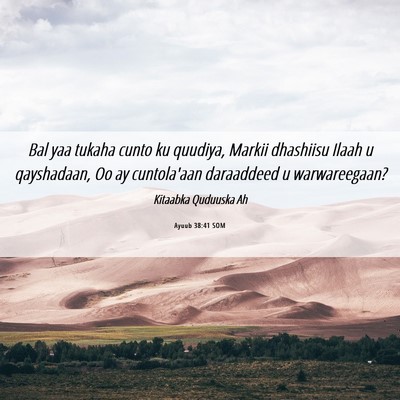 Picture 06 - Ayuub 38:41 SOM - Bal yaa tukaha cunto ku quudiya, Markii dhashiisu - Bible Verse Picture