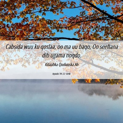 Picture 06 - Ayuub 39:22 SOM - Cabsida wuu ku qoslaa, oo ma uu baqo, Oo seeftana - Bible Verse Picture