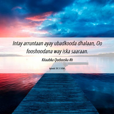 Picture 06 - Ayuub 39:3 SOM - Intay arruntaan ayay ubadkooda dhalaan, Oo - Bible Verse Picture
