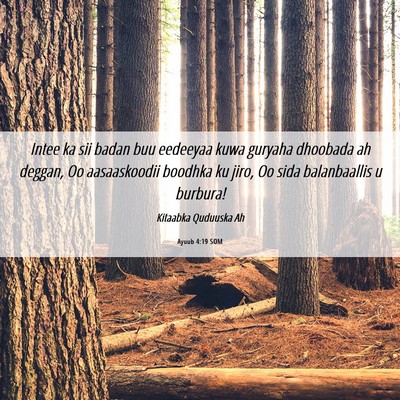 Picture 06 - Ayuub 4:19 SOM - Intee ka sii badan buu eedeeyaa kuwa guryaha - Bible Verse Picture