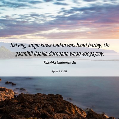 Picture 06 - Ayuub 4:3 SOM - Bal eeg, adigu kuwa badan wax baad bartay, Oo - Bible Verse Picture