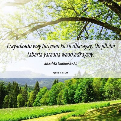 Picture 06 - Ayuub 4:4 SOM - Erayadaadu way tiiriyeen kii sii dhacayay, Oo - Bible Verse Picture
