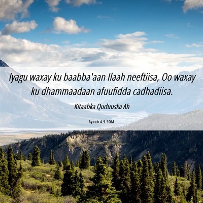 Picture 06 - Ayuub 4:9 SOM - Iyagu waxay ku baabba'aan Ilaah neeftiisa, Oo - Bible Verse Picture