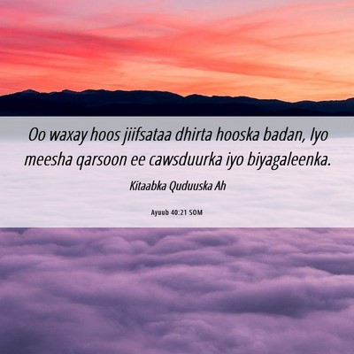 Picture 06 - Ayuub 40:21 SOM - Oo waxay hoos jiifsataa dhirta hooska badan, Iyo - Bible Verse Picture