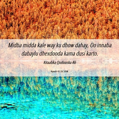 Picture 06 - Ayuub 41:16 SOM - Midba midda kale way ku dhow dahay, Oo innaba - Bible Verse Picture