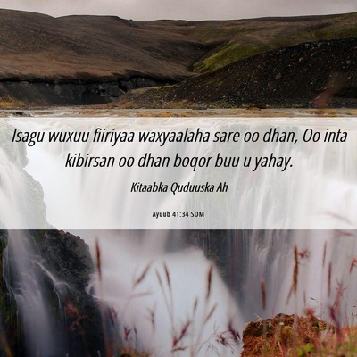 Picture 06 - Ayuub 41:34 SOM - Isagu wuxuu fiiriyaa waxyaalaha sare oo dhan, Oo - Bible Verse Picture