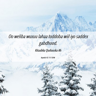 Picture 06 - Ayuub 42:13 SOM - Oo weliba wuxuu lahaa toddoba wiil iyo saddex - Bible Verse Picture