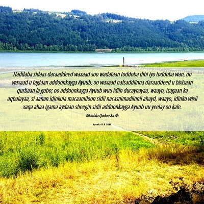Picture 06 - Ayuub 42:8 SOM - Haddaba sidaas daraaddeed waxaad soo wadataan - Bible Verse Picture