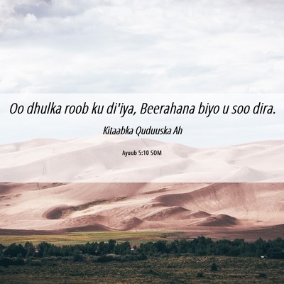 Picture 06 - Ayuub 5:10 SOM - Oo dhulka roob ku di'iya, Beerahana biyo u soo - Bible Verse Picture
