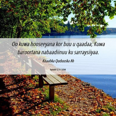 Picture 06 - Ayuub 5:11 SOM - Oo kuwa hooseeyana kor buu u qaadaa, Kuwa - Bible Verse Picture
