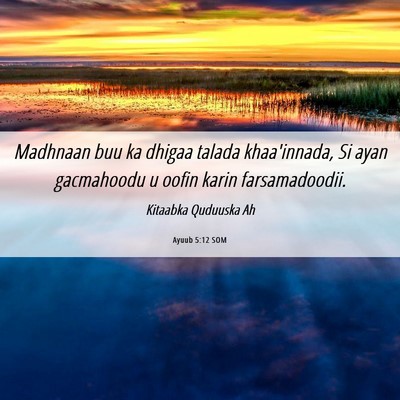 Picture 06 - Ayuub 5:12 SOM - Madhnaan buu ka dhigaa talada khaa'innada, Si - Bible Verse Picture