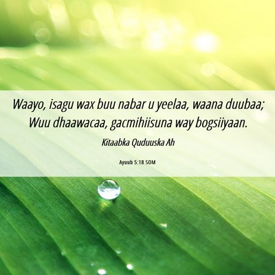 Picture 06 - Ayuub 5:18 SOM - Waayo, isagu wax buu nabar u yeelaa, waana - Bible Verse Picture