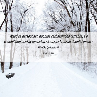Picture 06 - Ayuub 5:21 SOM - Waad ka qarsoonaan doontaa karbaashidda carrabka; - Bible Verse Picture