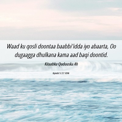 Picture 06 - Ayuub 5:22 SOM - Waad ku qosli doontaa baabbi'idda iyo abaarta, Oo - Bible Verse Picture