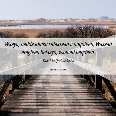 Picture 06 - Ayuub 6:21 SOM - Waayo, hadda idinku sidaasaad ii noqoteen, Waxaad - Bible Verse Picture