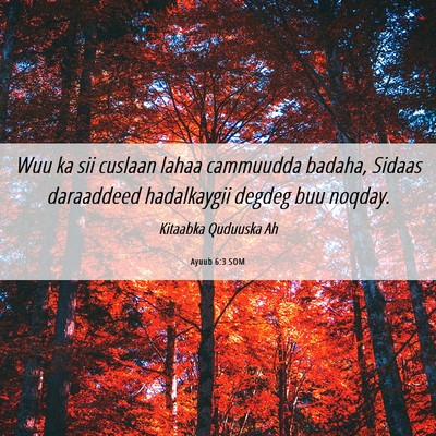 Picture 06 - Ayuub 6:3 SOM - Wuu ka sii cuslaan lahaa cammuudda badaha, Sidaas - Bible Verse Picture