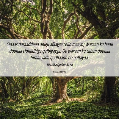 Picture 06 - Ayuub 7:11 SOM - Sidaas daraaddeed anigu afkayga celin maayo; - Bible Verse Picture