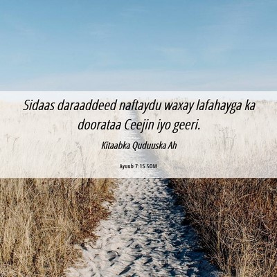 Picture 06 - Ayuub 7:15 SOM - Sidaas daraaddeed naftaydu waxay lafahayga ka - Bible Verse Picture