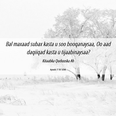Picture 06 - Ayuub 7:18 SOM - Bal maxaad subax kasta u soo booqanaysaa, Oo aad - Bible Verse Picture