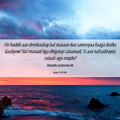 Picture 06 - Ayuub 7:20 SOM - Oo haddii aan dembaabay bal maxaan kuu sameeyaa - Bible Verse Picture