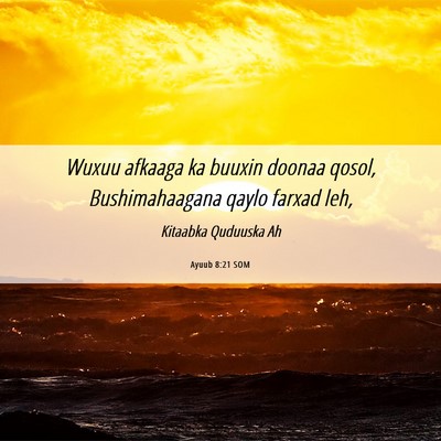 Picture 06 - Ayuub 8:21 SOM - Wuxuu afkaaga ka buuxin doonaa qosol, - Bible Verse Picture