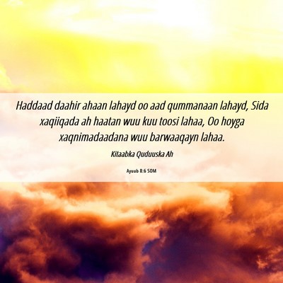 Picture 06 - Ayuub 8:6 SOM - Haddaad daahir ahaan lahayd oo aad qummanaan - Bible Verse Picture