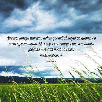 Picture 06 - Ayuub 8:9 SOM - (Waayo, innagu waxaynu nahay qoonkii shalayto oo - Bible Verse Picture
