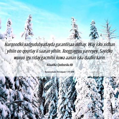 Picture 06 - Baroorashadii Yeremyaah 1:14 SOM - Harqoodkii xadgudubyadayda gacantiisaa xidhay. - Bible Verse Picture