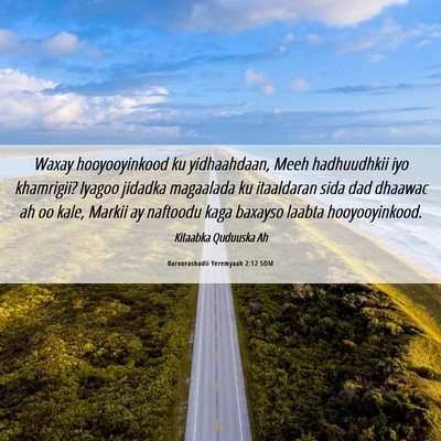 Picture 06 - Baroorashadii Yeremyaah 2:12 SOM - Waxay hooyooyinkood ku yidhaahdaan, Meeh - Bible Verse Picture