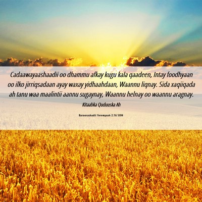 Picture 06 - Baroorashadii Yeremyaah 2:16 SOM - Cadaawayaashaadii oo dhammu afkay kugu kala - Bible Verse Picture