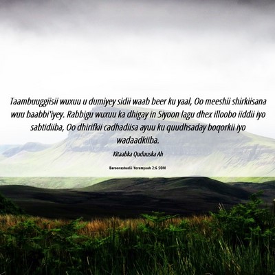 Picture 06 - Baroorashadii Yeremyaah 2:6 SOM - Taambuuggiisii wuxuu u dumiyey sidii waab beer ku - Bible Verse Picture