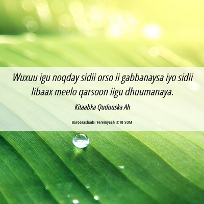 Picture 06 - Baroorashadii Yeremyaah 3:10 SOM - Wuxuu igu noqday sidii orso ii gabbanaysa iyo - Bible Verse Picture