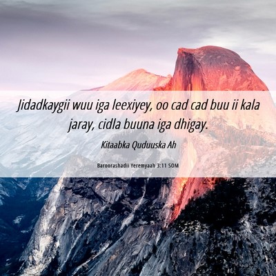 Picture 06 - Baroorashadii Yeremyaah 3:11 SOM - Jidadkaygii wuu iga leexiyey, oo cad cad buu ii - Bible Verse Picture