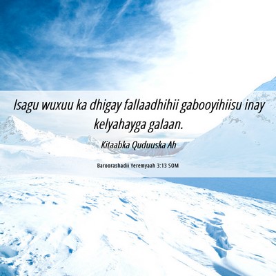 Picture 06 - Baroorashadii Yeremyaah 3:13 SOM - Isagu wuxuu ka dhigay fallaadhihii gabooyihiisu - Bible Verse Picture