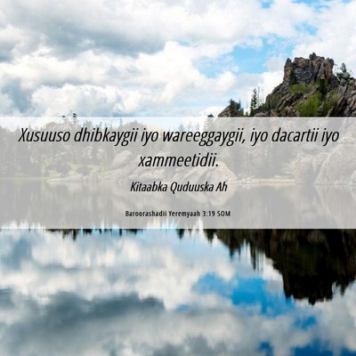 Picture 06 - Baroorashadii Yeremyaah 3:19 SOM - Xusuuso dhibkaygii iyo wareeggaygii, iyo dacartii - Bible Verse Picture