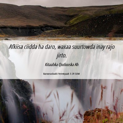 Picture 06 - Baroorashadii Yeremyaah 3:29 SOM - Afkiisa ciidda ha daro, waxaa suurtowda inay rajo - Bible Verse Picture