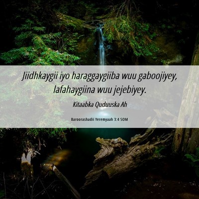 Picture 06 - Baroorashadii Yeremyaah 3:4 SOM - Jiidhkaygii iyo haraggaygiiba wuu gaboojiyey, - Bible Verse Picture