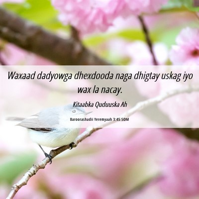Picture 06 - Baroorashadii Yeremyaah 3:45 SOM - Waxaad dadyowga dhexdooda naga dhigtay uskag iyo - Bible Verse Picture