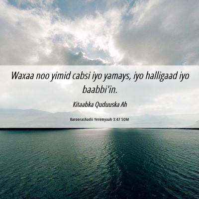 Picture 06 - Baroorashadii Yeremyaah 3:47 SOM - Waxaa noo yimid cabsi iyo yamays, iyo halligaad - Bible Verse Picture