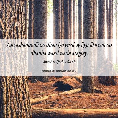 Picture 06 - Baroorashadii Yeremyaah 3:60 SOM - Aarsashadoodii oo dhan iyo wixii ay iigu fikireen - Bible Verse Picture