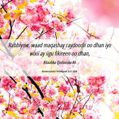 Picture 06 - Baroorashadii Yeremyaah 3:61 SOM - Rabbiyow, waad maqashay caydoodii oo dhan iyo - Bible Verse Picture