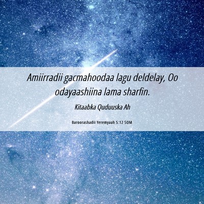 Picture 06 - Baroorashadii Yeremyaah 5:12 SOM - Amiirradii gacmahoodaa lagu deldelay, Oo - Bible Verse Picture