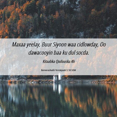 Picture 06 - Baroorashadii Yeremyaah 5:18 SOM - Maxaa yeelay, Buur Siyoon waa cidlowday, Oo - Bible Verse Picture