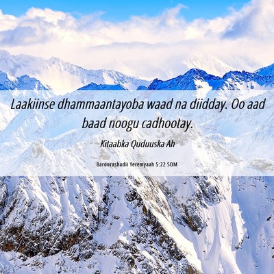 Picture 06 - Baroorashadii Yeremyaah 5:22 SOM - Laakiinse dhammaantayoba waad na diidday. Oo aad - Bible Verse Picture