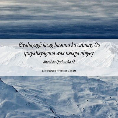 Picture 06 - Baroorashadii Yeremyaah 5:4 SOM - Biyahayagii lacag baannu ku cabnay, Oo - Bible Verse Picture