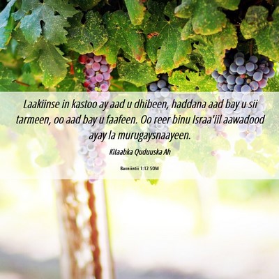 Picture 06 - Baxniintii 1:12 SOM - Laakiinse in kastoo ay aad u dhibeen, haddana aad - Bible Verse Picture