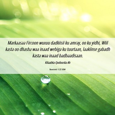 Picture 06 - Baxniintii 1:22 SOM - Markaasaa Fircoon wuxuu dadkiisii ku amray, oo ku - Bible Verse Picture
