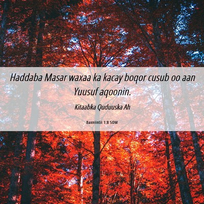 Picture 06 - Baxniintii 1:8 SOM - Haddaba Masar waxaa ka kacay boqor cusub oo aan - Bible Verse Picture
