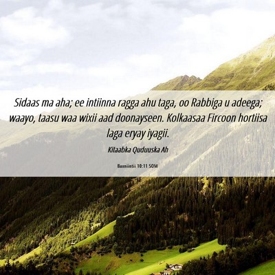 Picture 06 - Baxniintii 10:11 SOM - Sidaas ma aha; ee intiinna ragga ahu taga, oo - Bible Verse Picture